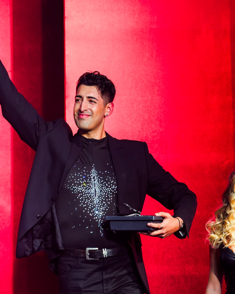 Luis Maureira, Artista Wella Latam